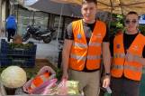 Practicum for Boroume – Raising Awareness and Driving Volunteer Recruitment