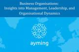 Online Presentation: Business Organisations: Insights into Management, Leadership, and Organisational Dynamics